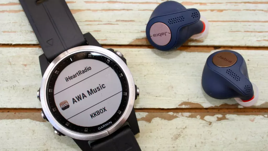 Garmin Fenix 5S Plus